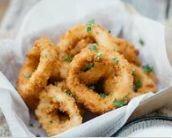 Fried Calamari