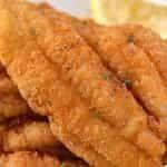 Catfish Fillet